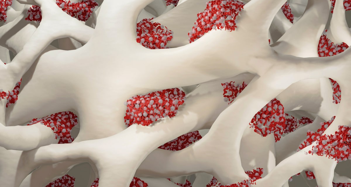 Peptides self-organizing into 3D matrices, mimicking human tissue extracellular matrix